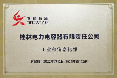 国家级“专精特新”重点小巨人企业