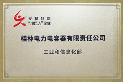  the “National Key little giant enterprise“