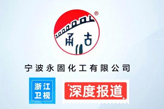 深度探索：永固化工在紙管膠與白乳膠領域的創新之路 - 浙江衛視報道
